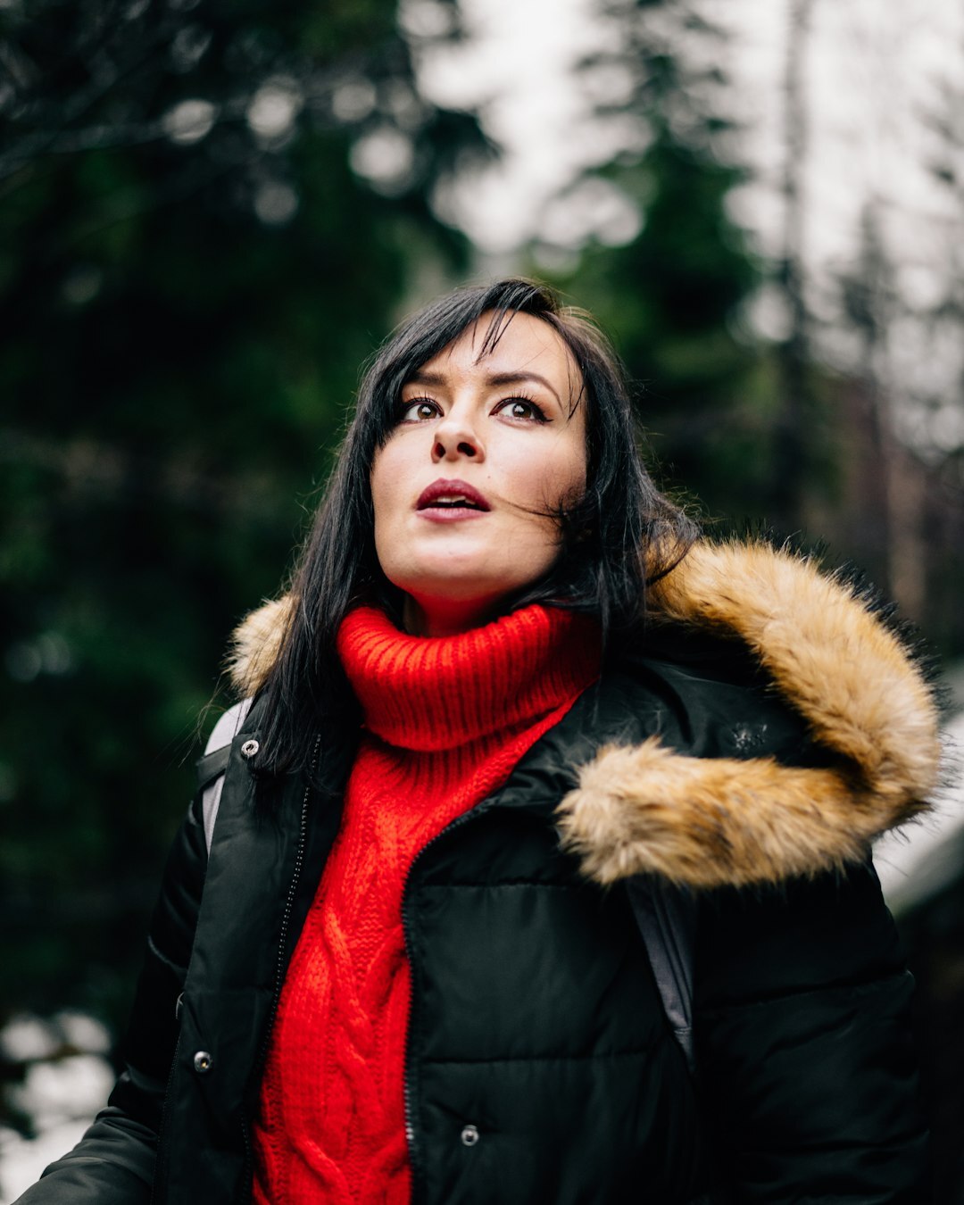 Portrait of a professional European woman with shoulder-length dark hair